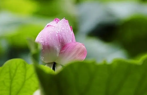 2023厦门梅雨季节是几月份2
