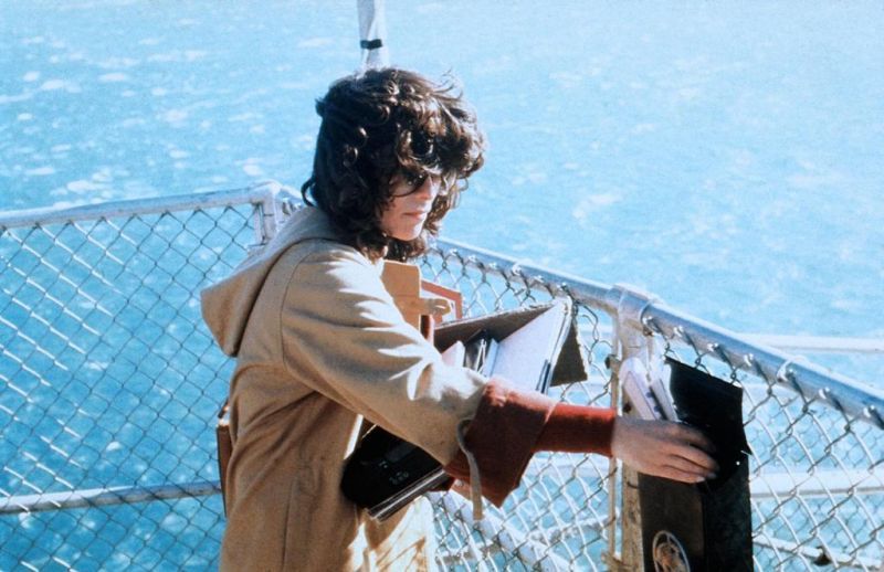 夜雾杀机(1980)的剧照 夜雾杀机(1980)的剧照