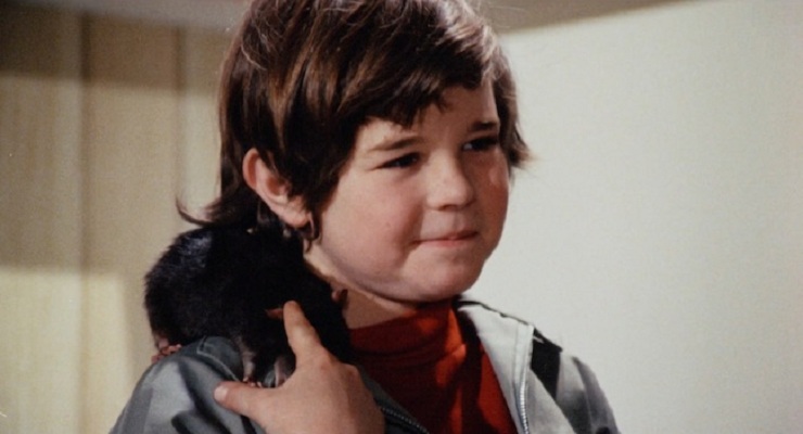 鼠王(1972)的剧照 鼠王(1972)的剧照