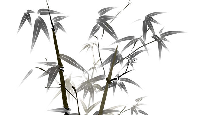 竹子18.jpg 竹子18.jpg