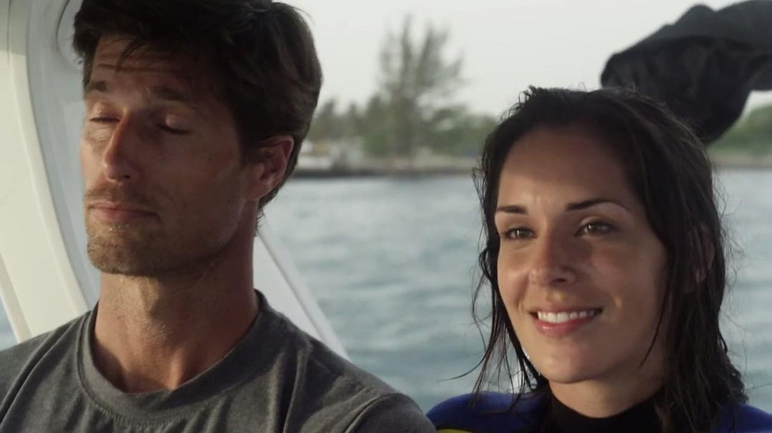 八爪狂鲨大战梭鱼翼龙(2014)的剧照 八爪狂鲨大战梭鱼翼龙(2014)的剧照