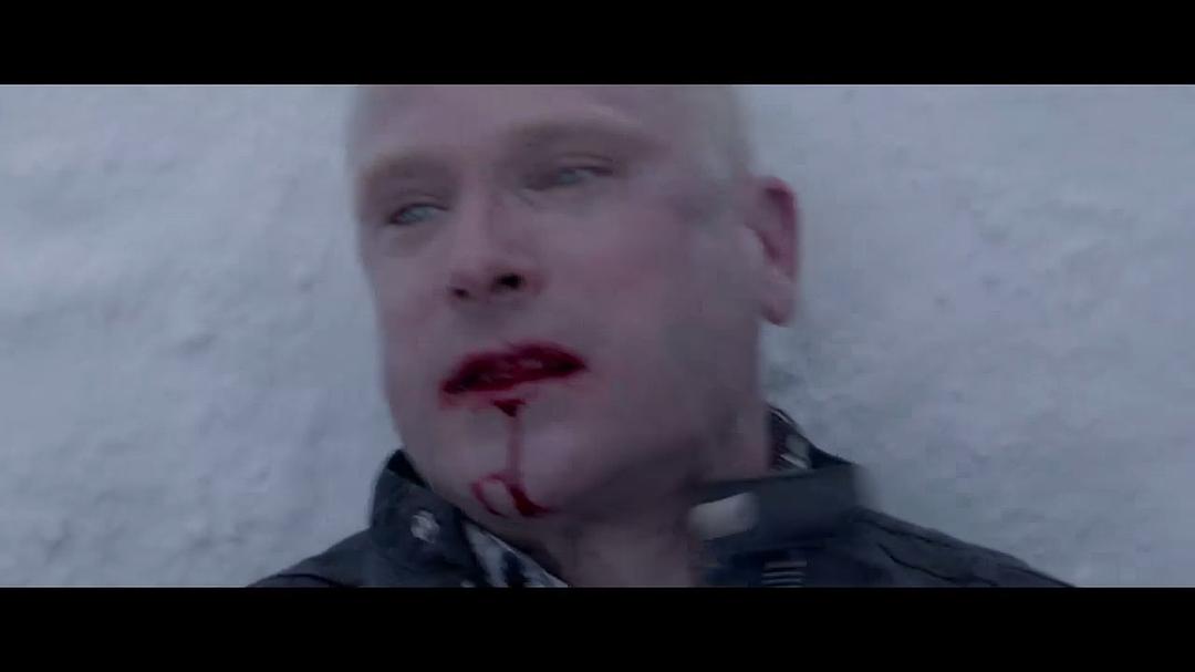 冰雪战士(2013)的剧照 冰雪战士(2013)的剧照