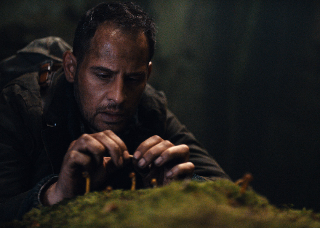 月之阴面(2015)的剧照 月之阴面(2015)的剧照