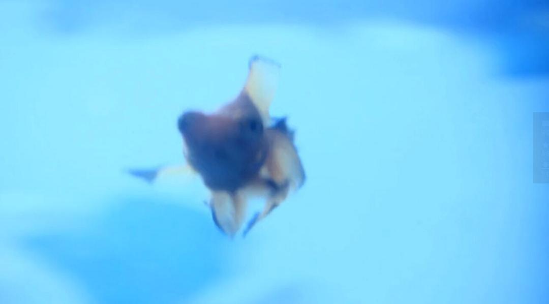 11度青春之《L.I》
(2010)的剧照 11度青春之《L.I》
(2010)的剧照