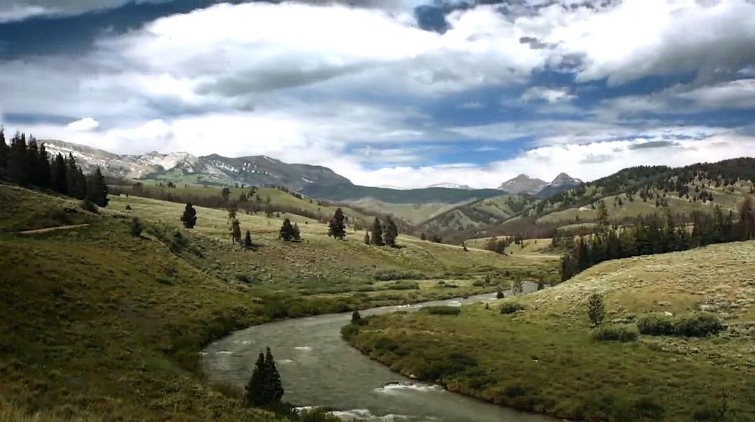 完美罪行(2016)的剧照 完美罪行(2016)的剧照