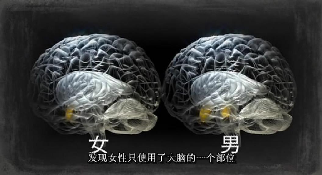 女和男—最新科学解读的性(2009)的剧照 女和男—最新科学解读的性(2009)的剧照