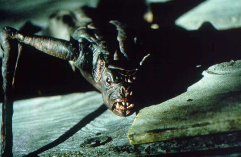 蝙蝠(1999)的剧照 蝙蝠(1999)的剧照