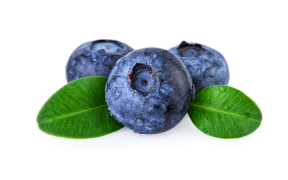 蓝莓放水浮起来的好还是沉下去的好2