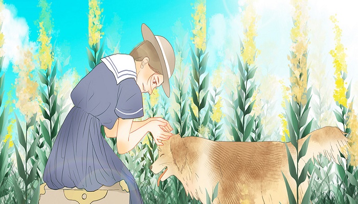 如何鉴定纯种小德牧