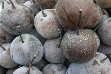 梨放冰箱冷冻就是冻梨吗2