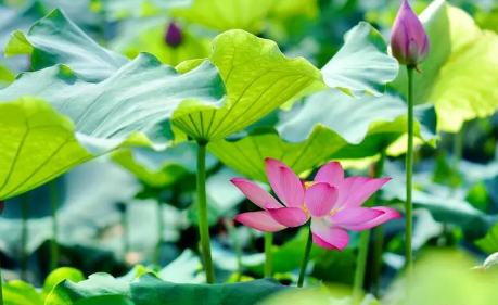 2023年夏天几月份开始热起来2