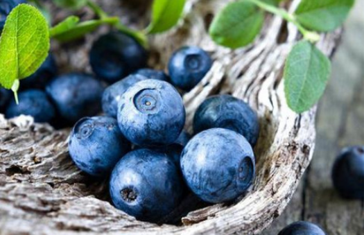 蓝莓榨汁会破坏花青素吗2