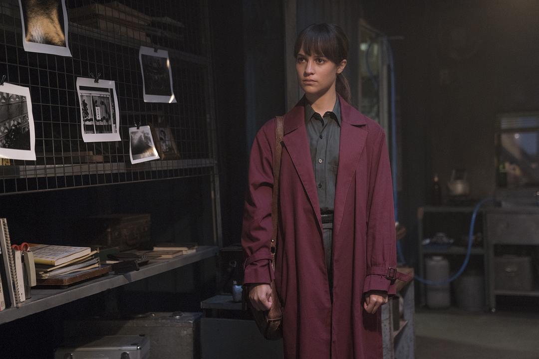 惊弓之鸟(2019)的剧照 惊弓之鸟(2019)的剧照