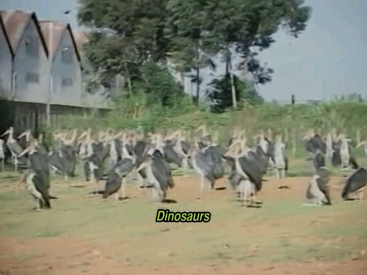 谁杀死了阿历克斯队长(2010)的剧照 谁杀死了阿历克斯队长(2010)的剧照