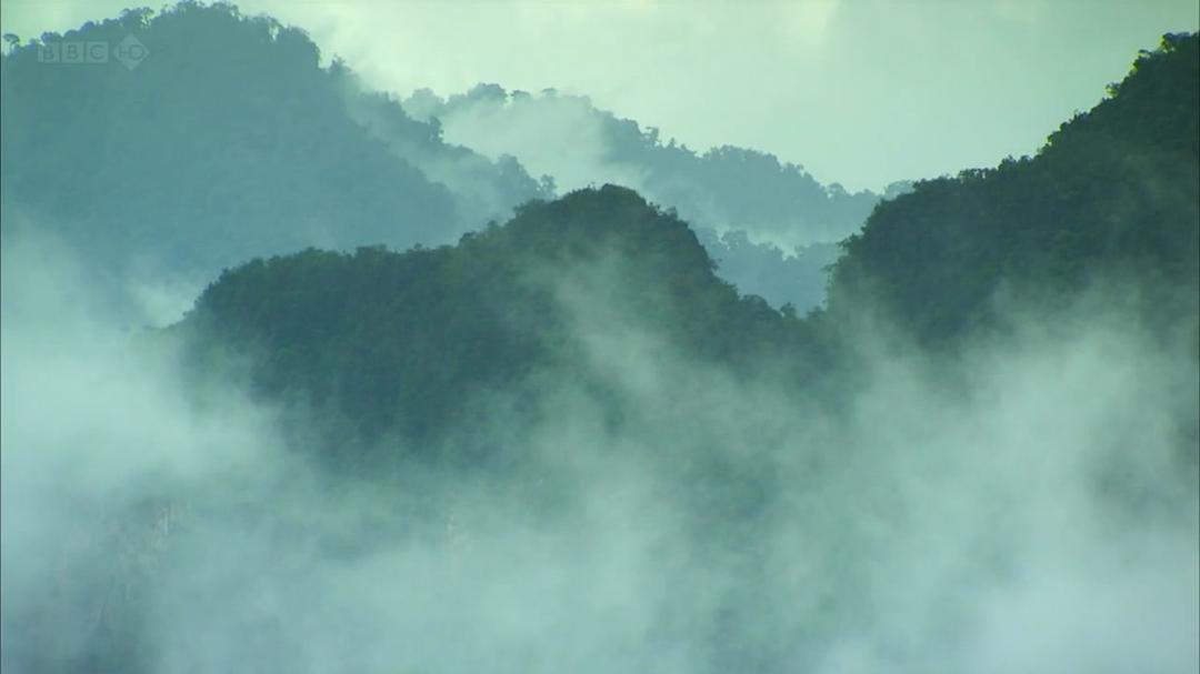 种出个地球(2012)的剧照 种出个地球(2012)的剧照