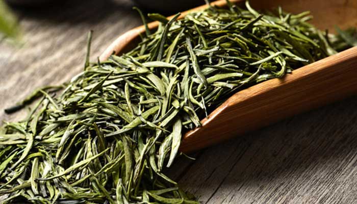 信阳毛尖是绿茶吗 信阳毛尖是不是绿茶