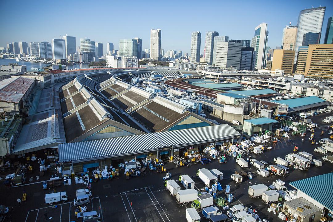 筑地仙境(2016)的剧照 筑地仙境(2016)的剧照