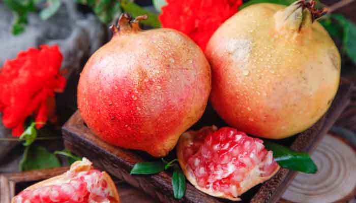 石榴2.jpg 石榴2.jpg