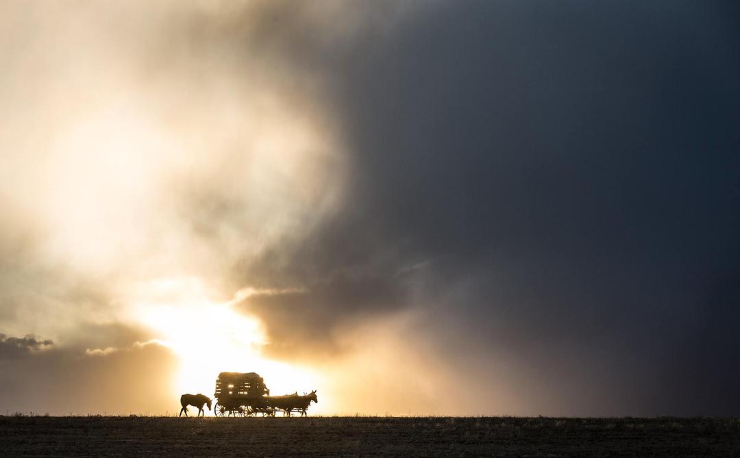 送乡人(2014)的剧照 送乡人(2014)的剧照