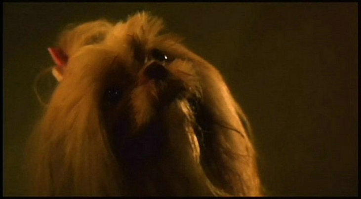 夜半2点钟(1997)的剧照 夜半2点钟(1997)的剧照