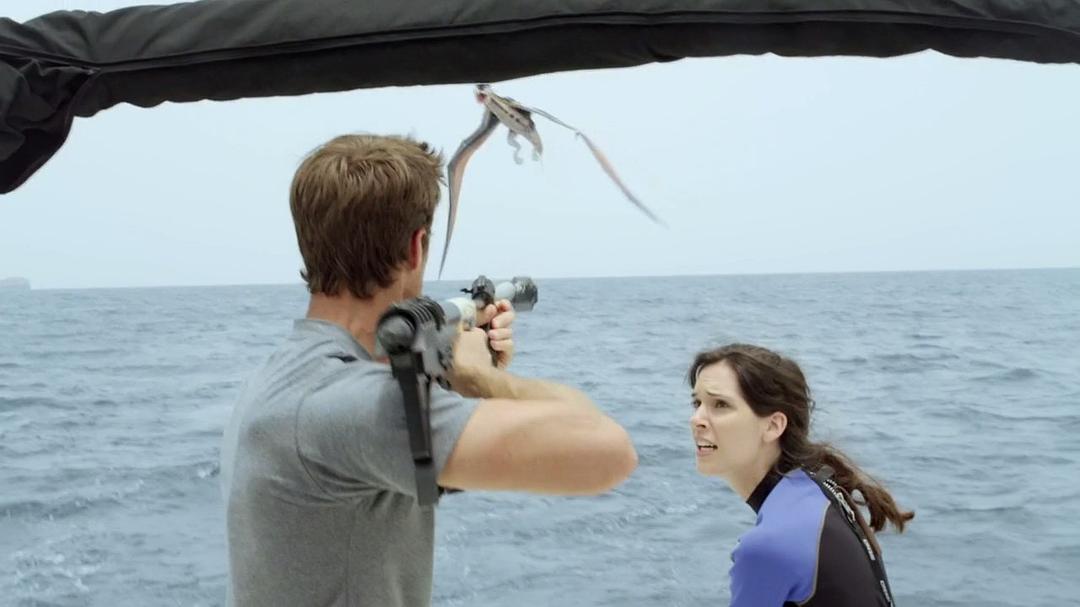 八爪狂鲨大战梭鱼翼龙(2014)的剧照 八爪狂鲨大战梭鱼翼龙(2014)的剧照