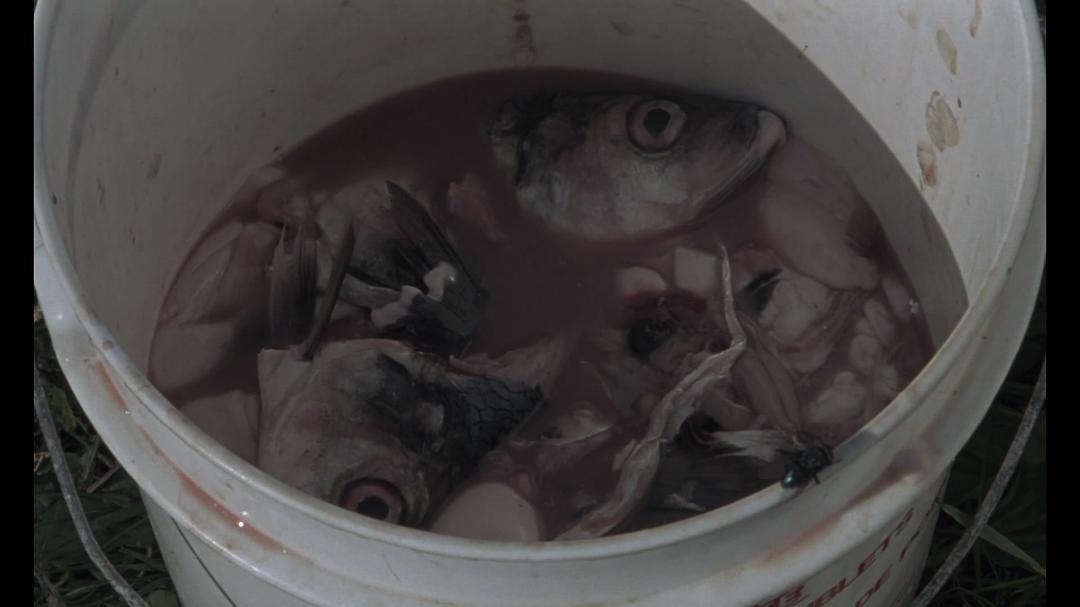 梦幻狂杀(1993)的剧照 梦幻狂杀(1993)的剧照