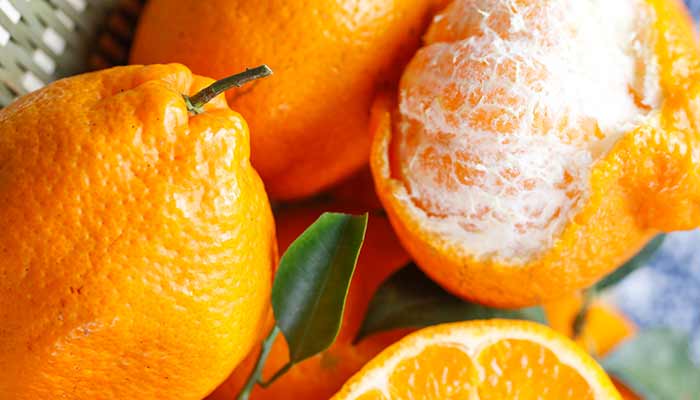 耙耙柑37.jpg 耙耙柑37.jpg