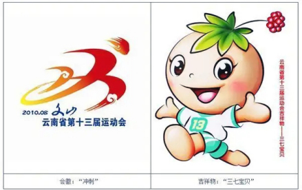 云南省第十三届运动会