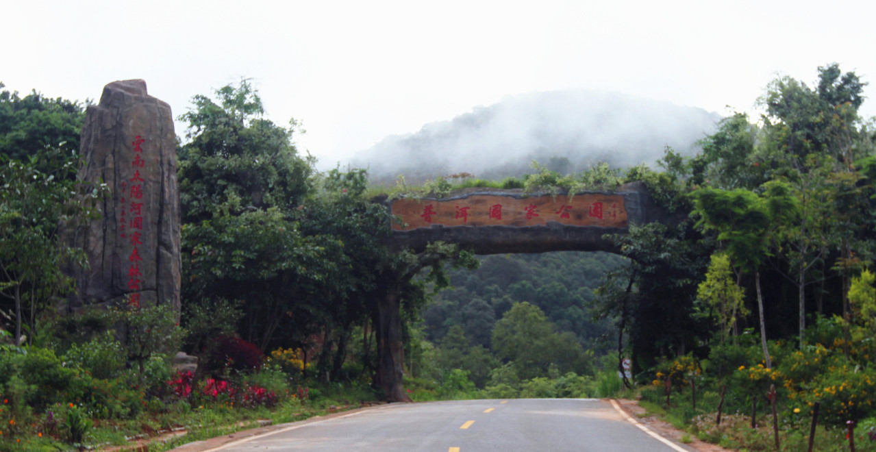 云南太阳河国家森林公园