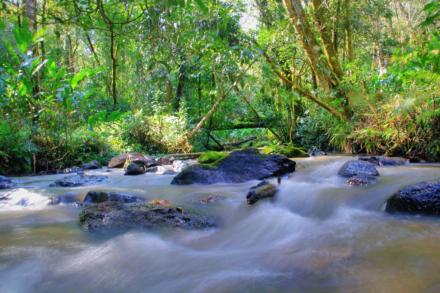 澜沧拉祜族自治县大岔河