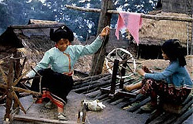 纳勐海县的冈永节