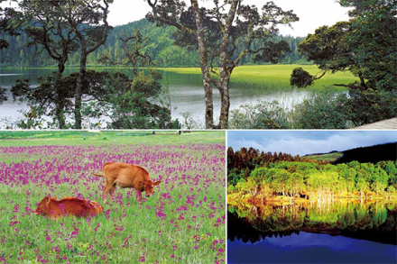 普达措国家公园