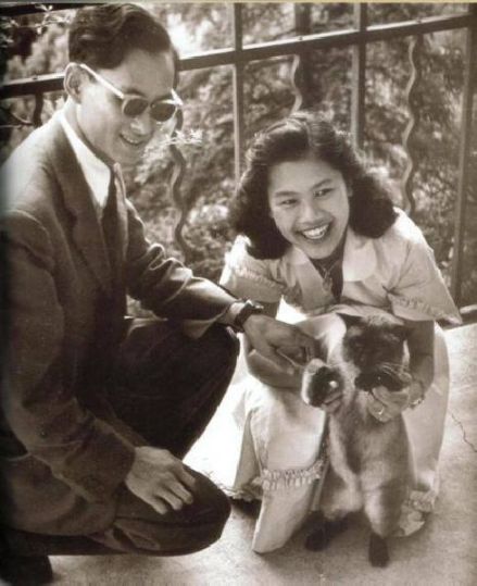 普密蓬国王、诗丽吉王后和他们饲养的暹罗猫“铁托”