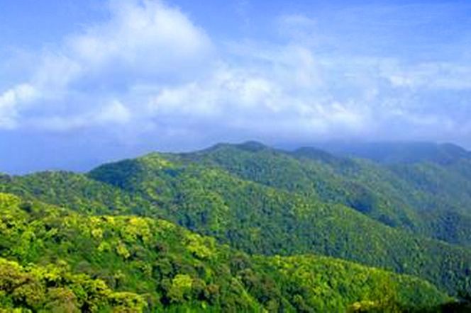 灵宝山国家森林公园