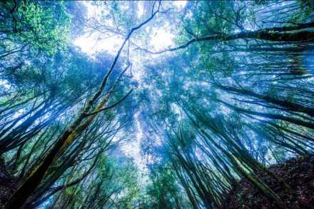 五老山国家森林公园