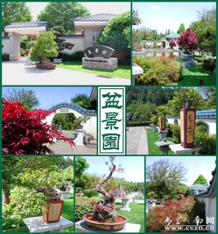 盆景园