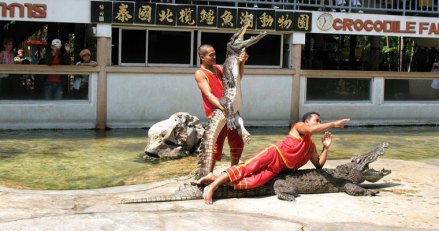 泰国北揽鳄鱼湖动物园