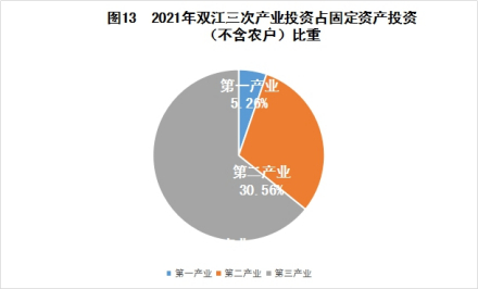 双江固定资产投资饼状图