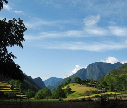 罗古箐风景名胜区