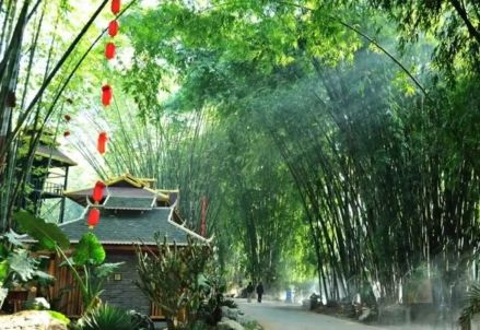 勐巴娜西珍奇园