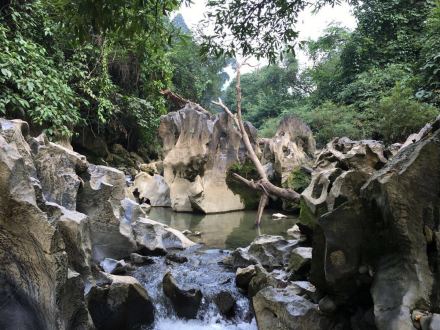 花鱼洞国家森林公园