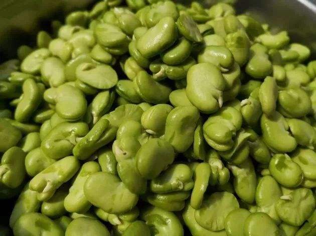 保山透心绿蚕豆