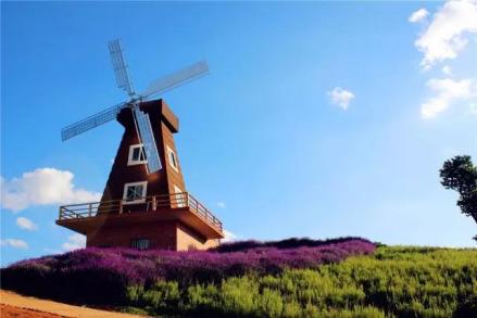 东风韵艺术小镇